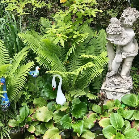 Daire Birkenhof